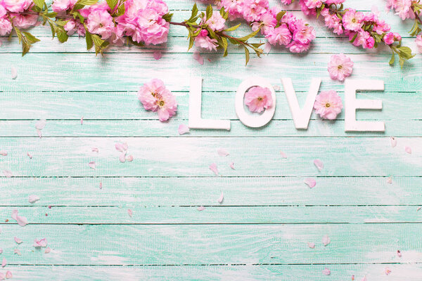 Word love and  pink almond flowers 