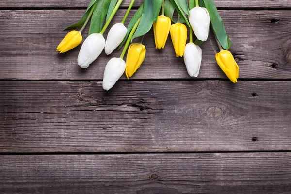 黄色と白のチューリップの花 — ストック写真