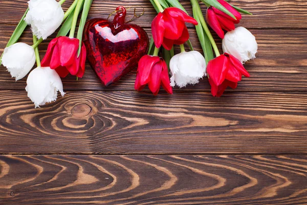 Kırmızı ve Beyaz Lale çiçek — Stok fotoğraf