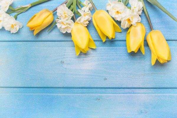 Gula tulpaner och påskliljor blommor — Stockfoto