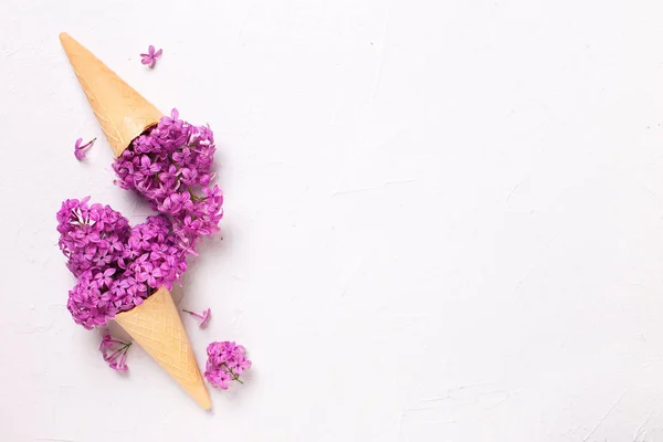 Flores lilás esplêndidas em cones de waffle — Fotografia de Stock