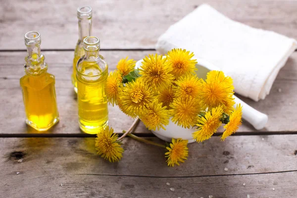 Flores amarelas frescas tussilago — Fotografia de Stock