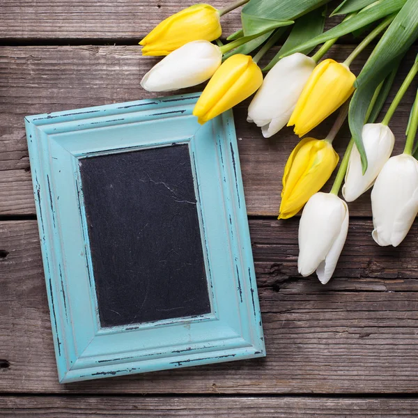Květiny žluté a bílé tulipány — Stock fotografie