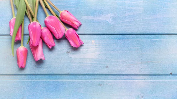 Kwiaty różowe tulipany — Zdjęcie stockowe