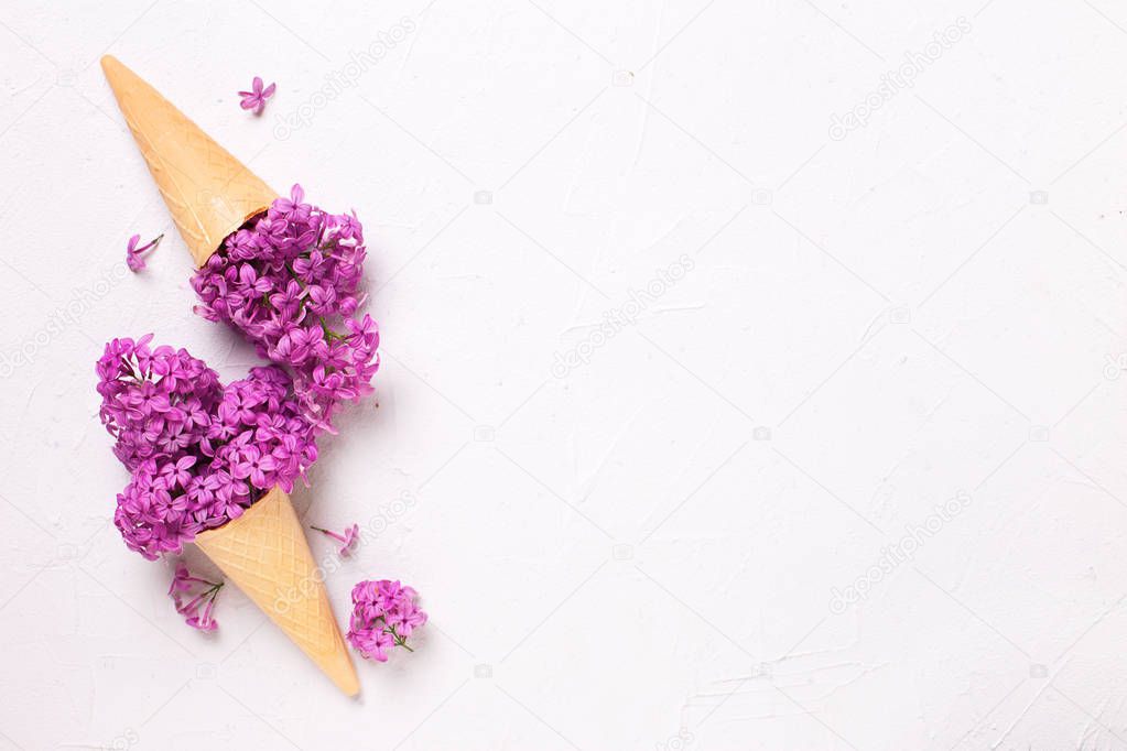 Splendid lilac flowers in waffle cones