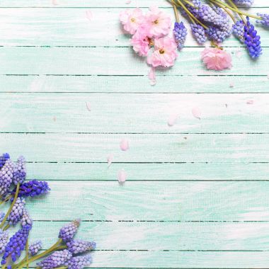 arka plan bahar çiçekleri ile. 