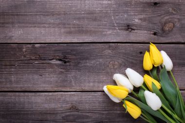 Sarı ve beyaz laleler bahar