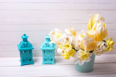 Parlak sarı nergis ve Lale çiçek 