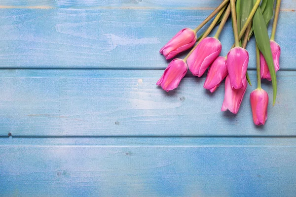 Flores de tulipán rosadas sobre fondo de madera azul . —  Fotos de Stock