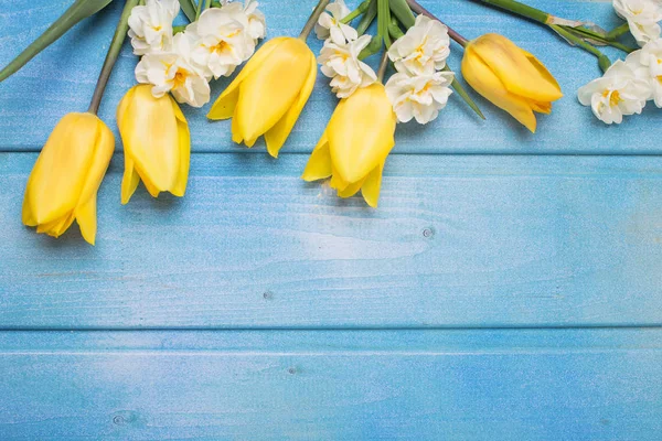 Gele tulpen en narcissen bloemen — Stockfoto