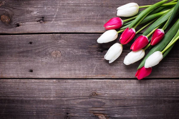 Bouquet de tulipes rose vif et blanches — Photo