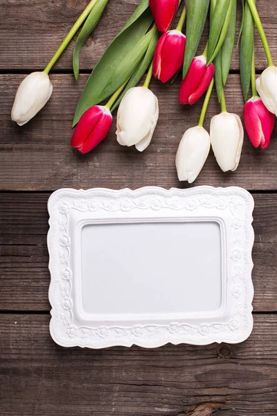 Jasny czerwony i biały tulipan kwiaty — Zdjęcie stockowe