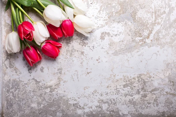 Ljusa röda och vita tulpaner blommor — Stockfoto