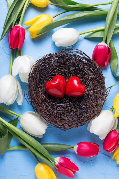 Dekorativní srdíčka v hnízdě a světlé jarní tulipány — Stock fotografie