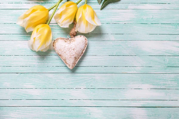 Bakgrund med våren tulpaner och dekorativt hjärta. — Stockfoto