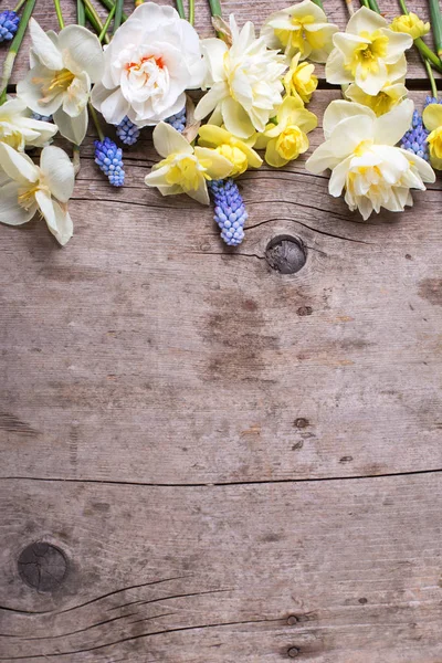 Ram från färgglada vårblommor — Stockfoto