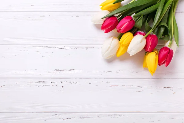 Květy žluté, růžové a bílé Tulipán — Stock fotografie