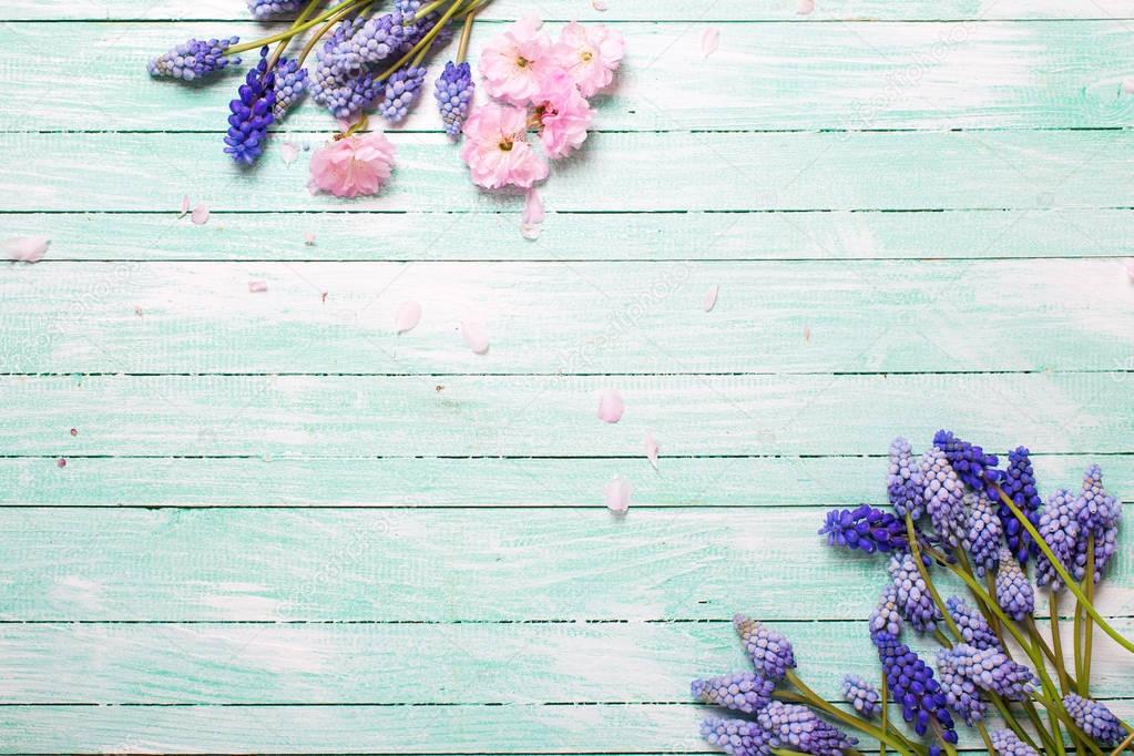 Background with spring flowers. 