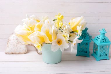  Parlak sarı nergis ve Lale çiçek, kalp ve fenerler