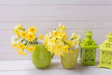 Sarı bahar nergis veya nergis çiçek