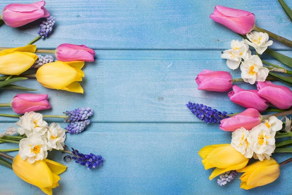 Bordüre aus rosa, gelben Tulpen und weißen Narzissen — Stockfoto