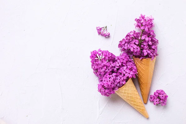 Lente lila bloemen in wafel kegels — Stockfoto