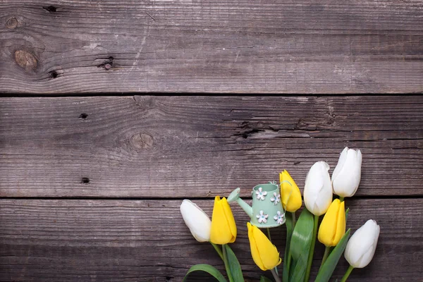 Spring yellow and white tulip flowers — Stock Photo, Image