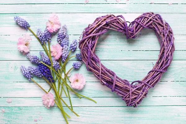 Grande coração decorativo e amêndoa rosa e flores muscaries azuis — Fotografia de Stock