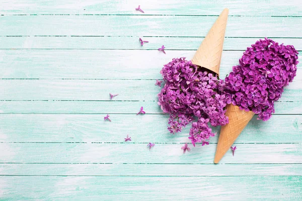 Flores frescas de lila en conos de gofre —  Fotos de Stock