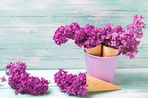 华夫格锥中的紫丁香鲜花 — 图库照片