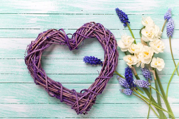 Dekorativt hjärta och blå muscaries och påsklilja blommor — Stockfoto