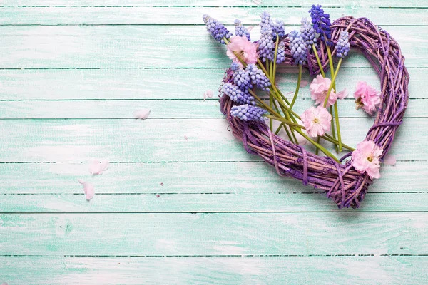 Großes dekoratives Herz und rosa Mandel- und blaue Muskarienblüten — Stockfoto