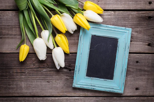 Leerer blauer Rahmen und gelbe und weiße Tulpen — Stockfoto