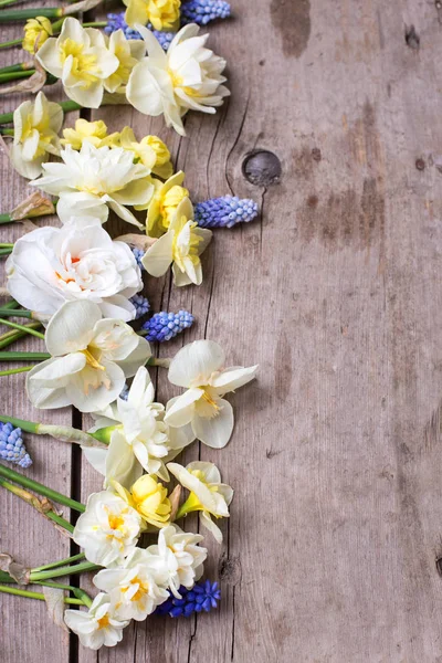 Rahmen aus bunten Frühlingsblumen — Stockfoto