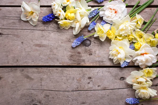 Rahmen aus bunten Frühlingsblumen — Stockfoto