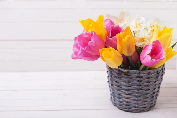 Ροζ, κίτρινο και λευκό τουλίπες και ασφόδελος λουλούδια άνοιξη — Φωτογραφία Αρχείου