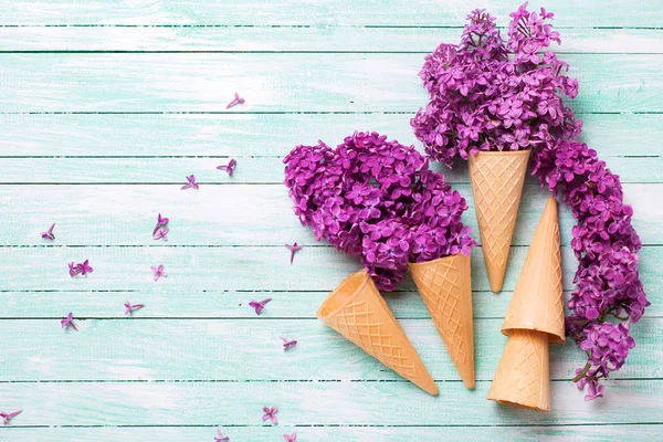 Verse lila bloemen in wafel kegels — Stockfoto