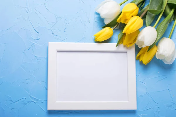 Leuchtend gelbe Tulpenblüten und leere Anhänger — Stockfoto