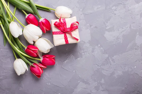 Leuchtend rote und weiße Tulpenblüten — Stockfoto