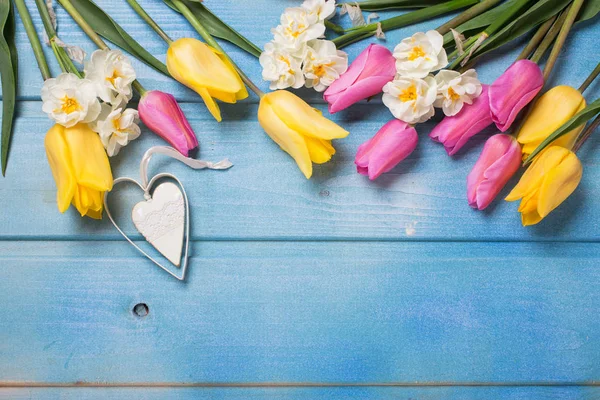 Tulipanes rosados y amarillos y flores de narciso blanco — Foto de Stock