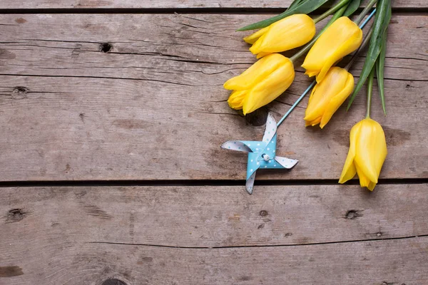 Gelbe Frühlingstulpenblüten und dekorative blaue Windmühle — Stockfoto