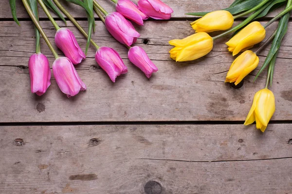 Rama od wiosny różowe i żółte tulipany — Zdjęcie stockowe