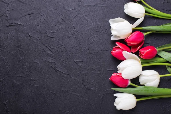 Fronteira de flores de tulipa vermelhas e brancas — Fotografia de Stock