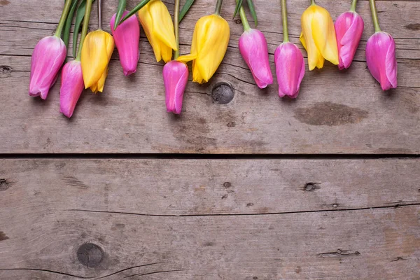 Reihe aus rosa und gelben Tulpen — Stockfoto