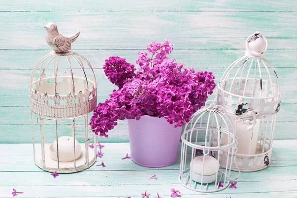 Spring lilla blomster i spand - Stock-foto