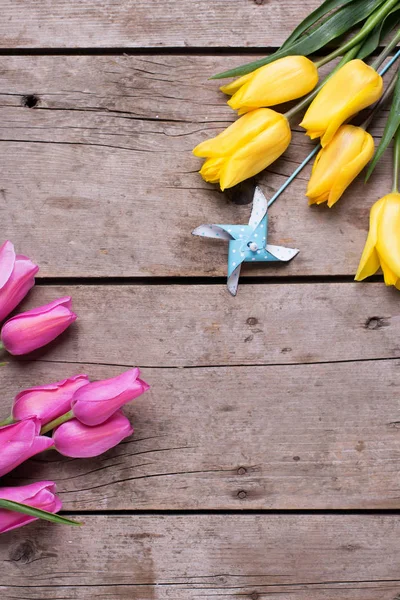 Fiori di tulipani primaverili gialli e rosa — Foto Stock