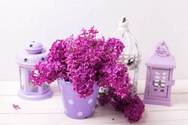 Dekoratif fenerler ve bahar çiçekleri