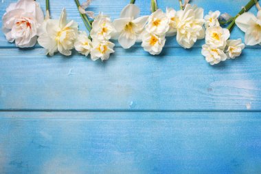 Beyaz nergis çiçekleri