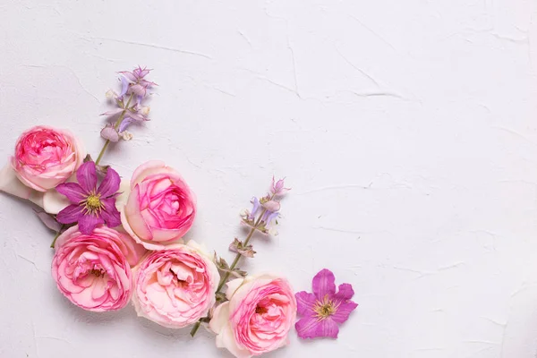 Lila klematis och rosor rosa blommor — Stockfoto