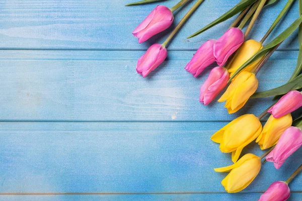 Blommande våren tulpaner — Stockfoto